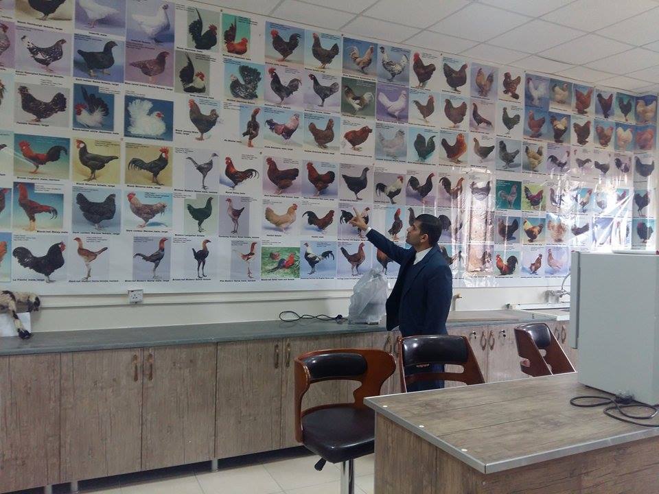 Department of Animal Resources